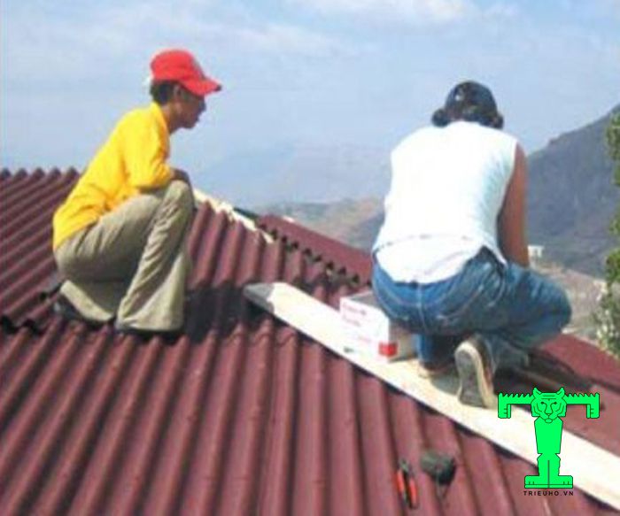 Mua tấm lợp sinh thái tại Triệu Hổ chất lượng đảm bảo nên khi thi công nhanh chóng và dễ dàng