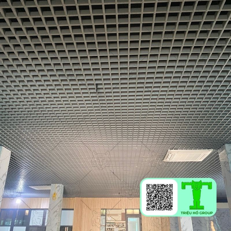 Tran Nhom Ctr Tq Cell Caro (11)