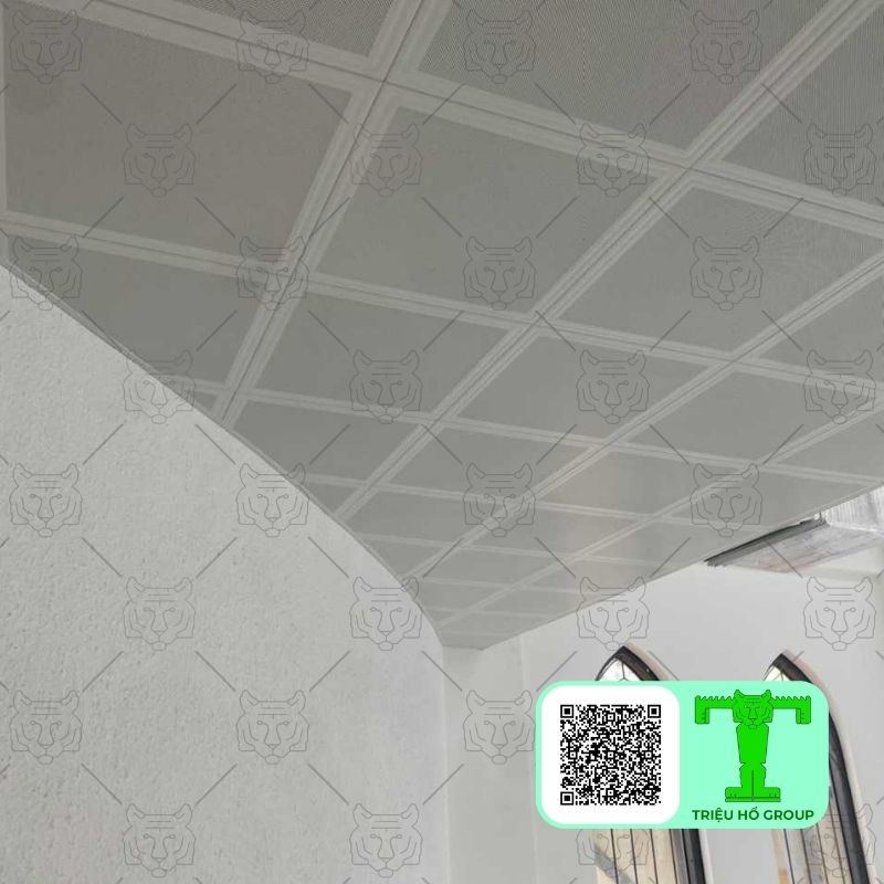 Tran Nhom Ctr Tq Clip In (5)